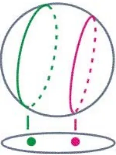 Figura 2.1: Estados en la 2n − 1 esfera