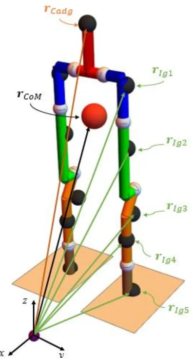 Figura 2.2  Vectores de posición de los centros de masa de cada eslabón del Bioloid GP®