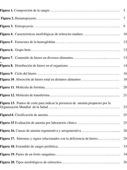 Figura 1. Composición de la sangre ……………………………………………………. 