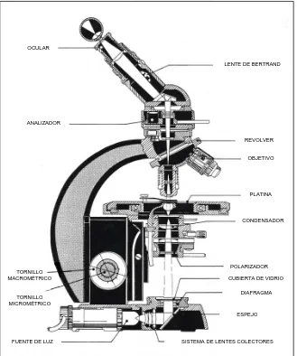Fig. 2.4 El microscopio de polarización 
