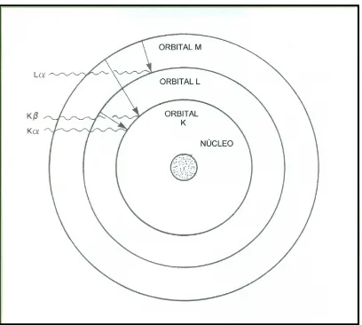 Fig. 2.6 Radiación X en orbítales. 
