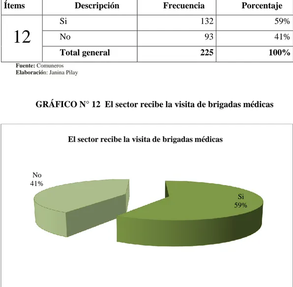 GRÁFICO N° 12  El sector recibe la visita de brigadas médicas 