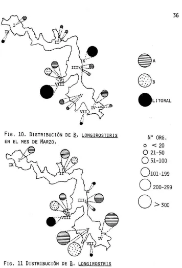 fIG, 10. DISTRIBUCIÓN EN EL MES /e DE MARZO, 
