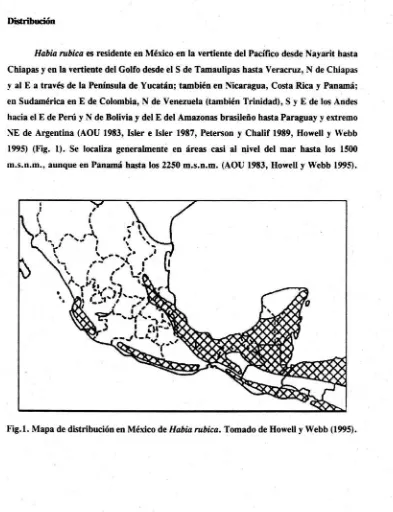 Fig.l. Mapa de distribución en México de Habia rubica. Tomado de Howell y Webb (1995)
