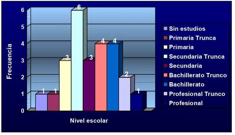 Figura 1. Escolaridad 