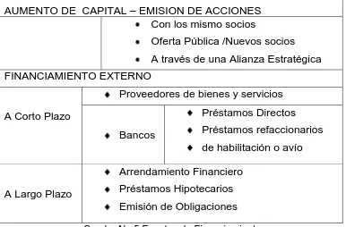 Cuadro No.5 Fuentes de Financiamiento 