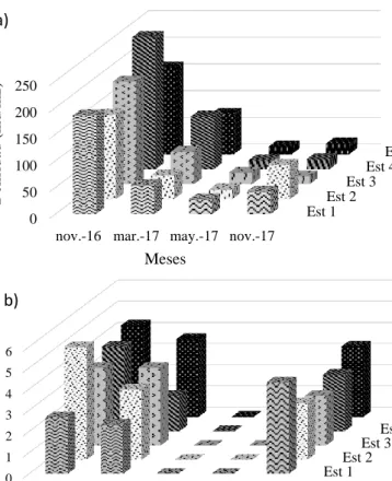 Figura 2. Variación espacio-temporal de la densidad de anfípodos en  Playa de Chipipe (A) y Data de Posorja (B)