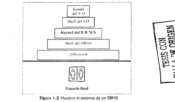Figura 1 .2 Muestra el entorno de un DBM S 