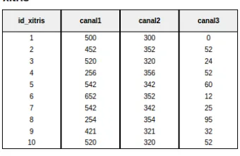 Figura 4.8: Tabla muestreoRis