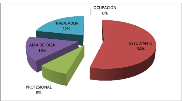 GRÁFICO Nº 5 Ocupación que tiene 