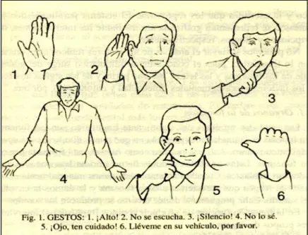 Gráfico Nº 1 