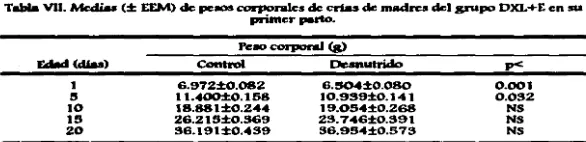 Figura t l). En todos los auos las madres neonatalmente desnutridas y estimuladas, 