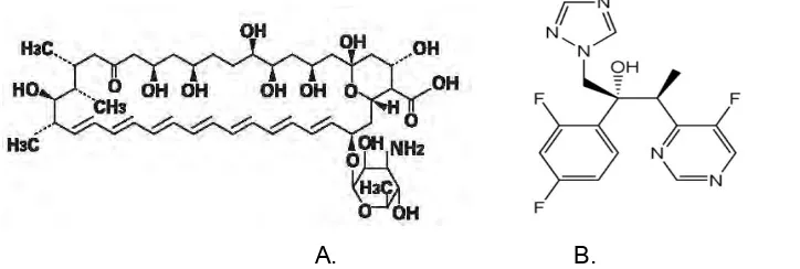 Figura 7. Estructura química de la anfotericina B (A) y del Fluconazol (B) 8. 