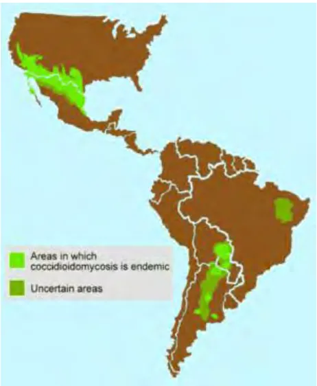 Figura 1. Distribución geográfica de coccidioidomicosis.2