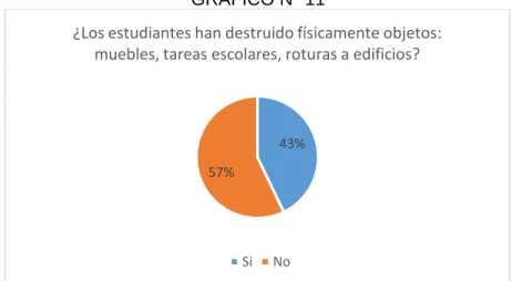 GRÁFICO N° 11 