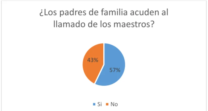 GRÁFICO N° 12 
