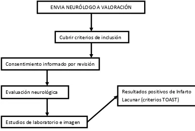 Figura 2.  