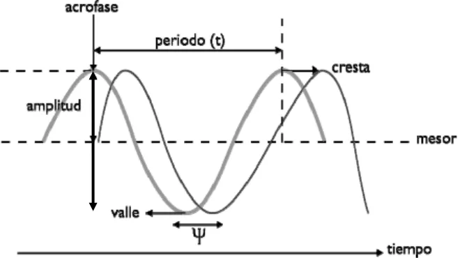 Figura 1. Esquema que muestra las propiedades básicas de los ritmos biológicos.  