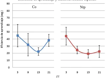 Figura 9. Distribución temporal de la eficiencia de aprendizaje y memoria  reciente espacial en los grupos Co (izquierda) y Ntp (derecha)