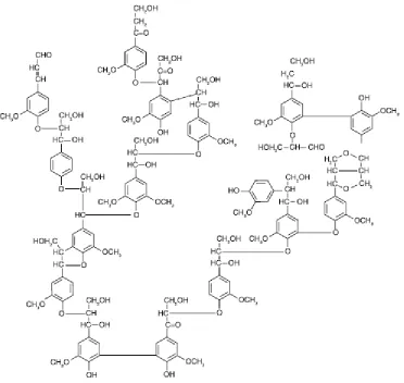 Figura 8 Estructura de la lignina 