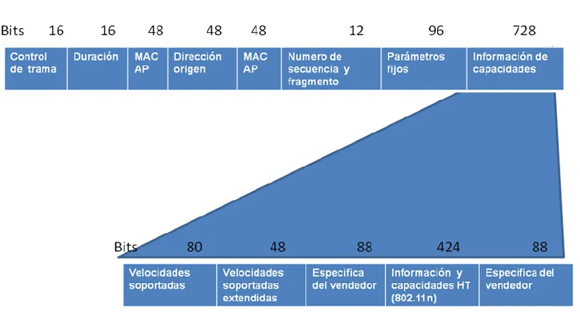 Figura 2.11 Estructura de trama Association Response. 