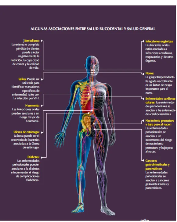 Figura 1.1. Esquema sobre algunas relaciones entre las enfermedades  bucodentales y la salud general 6 