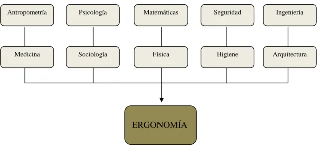 Figura 1.1 Áreas integradas en la Ergonomía. 