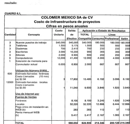 CUADRO 6,1, 