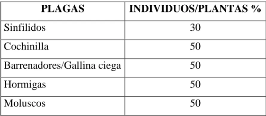 Tabla 12 Parámetro de umbrales de plagas 