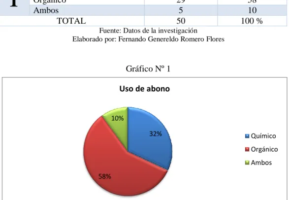 Gráfico Nº 1 