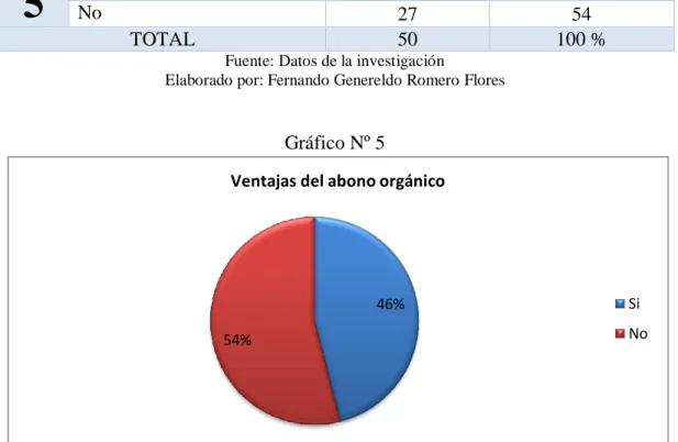 Gráfico Nº 5 