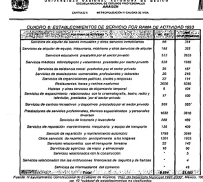 CUADRO 8' ESTABLECIMIENTOS DE SERVICIO POR RAMA DE ACTIVIDAD 1993 