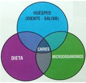 Fig. 1. Triada de Keyes1. 