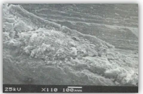 Fig. 3. Microscopía electrónica de barrido (MEB). Capa formada por depósito de 