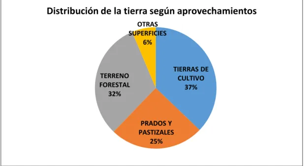 Gráfico 1. Distribución de la tierra de Castilla y León según aprovechamientos. Elaboración propia
