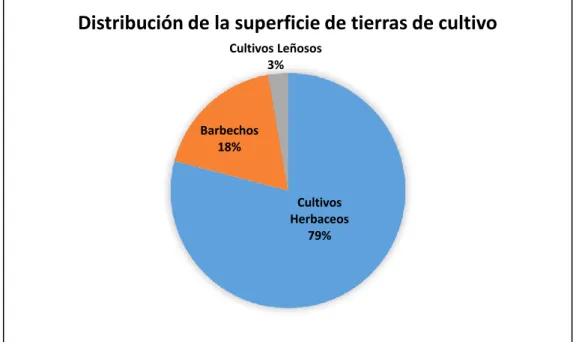 Gráfico 2. Distribución de la superficie de tierras de cultivo de Castilla y León. Elaboración propia