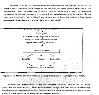 Figura 5. La teoría del autorechazo de Kaplan (citado en Luengo et al .• 1998). 