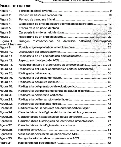 Figura 1. 