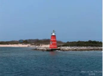 Fig. 3 Arrecife Isla Verde 