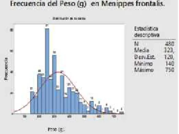Figura 1. Distribución  mensual  de M.