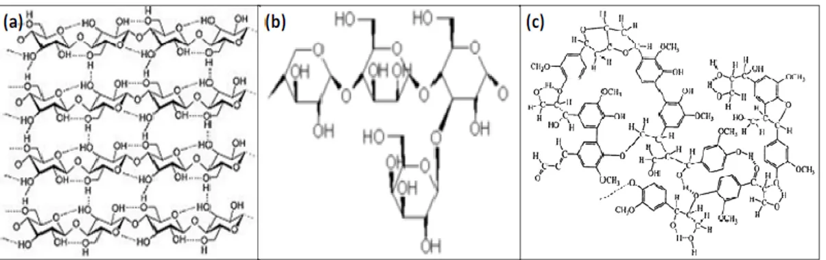 Figura 2: Estructuras químicas de las principales fracciones biomásicas: (a) celulosa; (b)  hemicelulosa; (c) lignina
