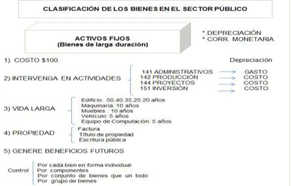 GRÁFICO 2: Clasificación de los bienes en el sector público. 