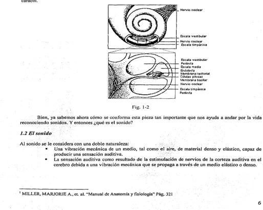 Fig. 1-2 