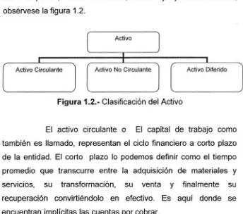 Figura 1.2.- Clasificación del Activo 