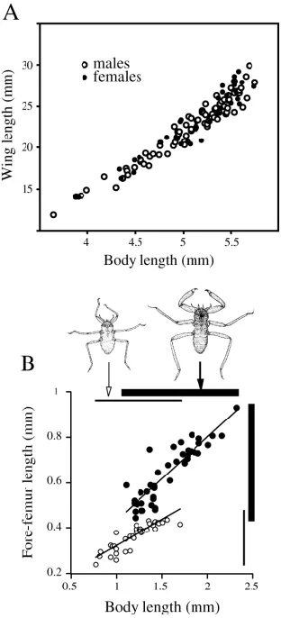 Figura 3. Ejemplos de alometría 