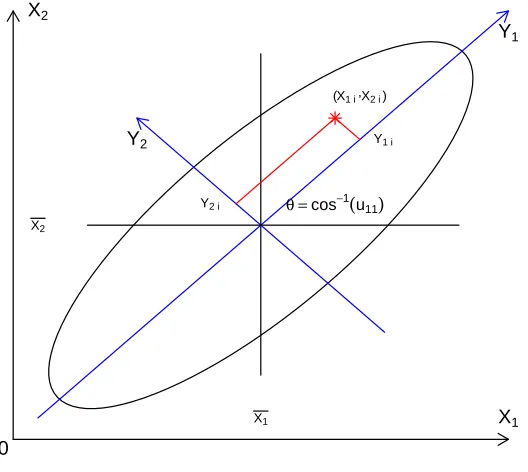 Figura 3: Representación del ángulo entre la variable X1 y el primer eje principal