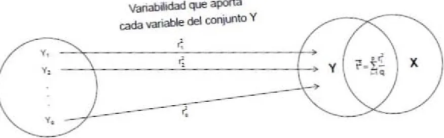 Figura 5: Representación gráca del coeciente de traza.