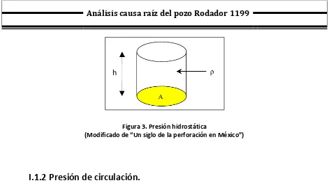 Figura 3. Presión hidrostática 