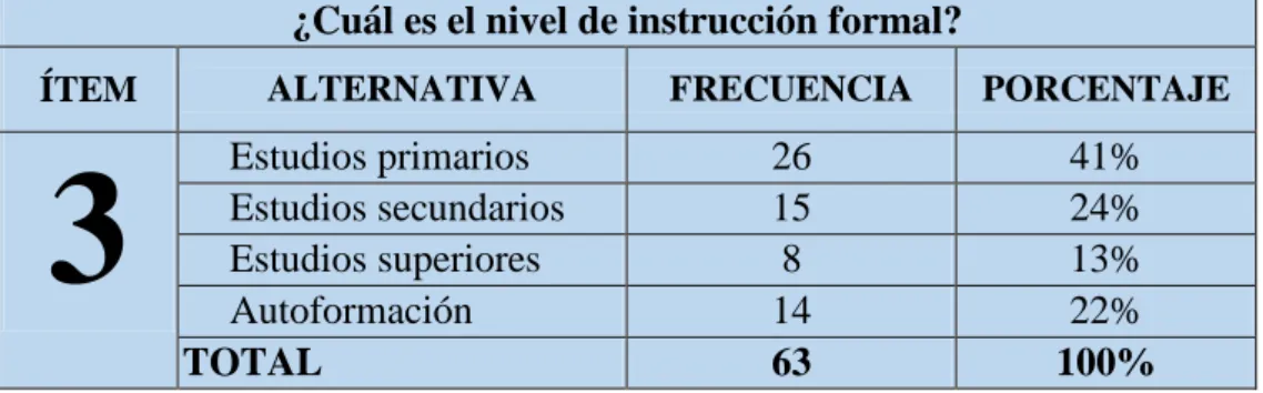 GRÁFICO Nº 3: Nivel de estudios 