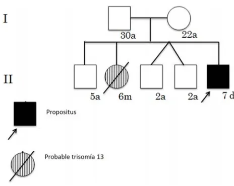 Figura 7. Árbol genealógico del paciente en donde se señala el antecedente de la hermana finada por probable Trisomia 13. 